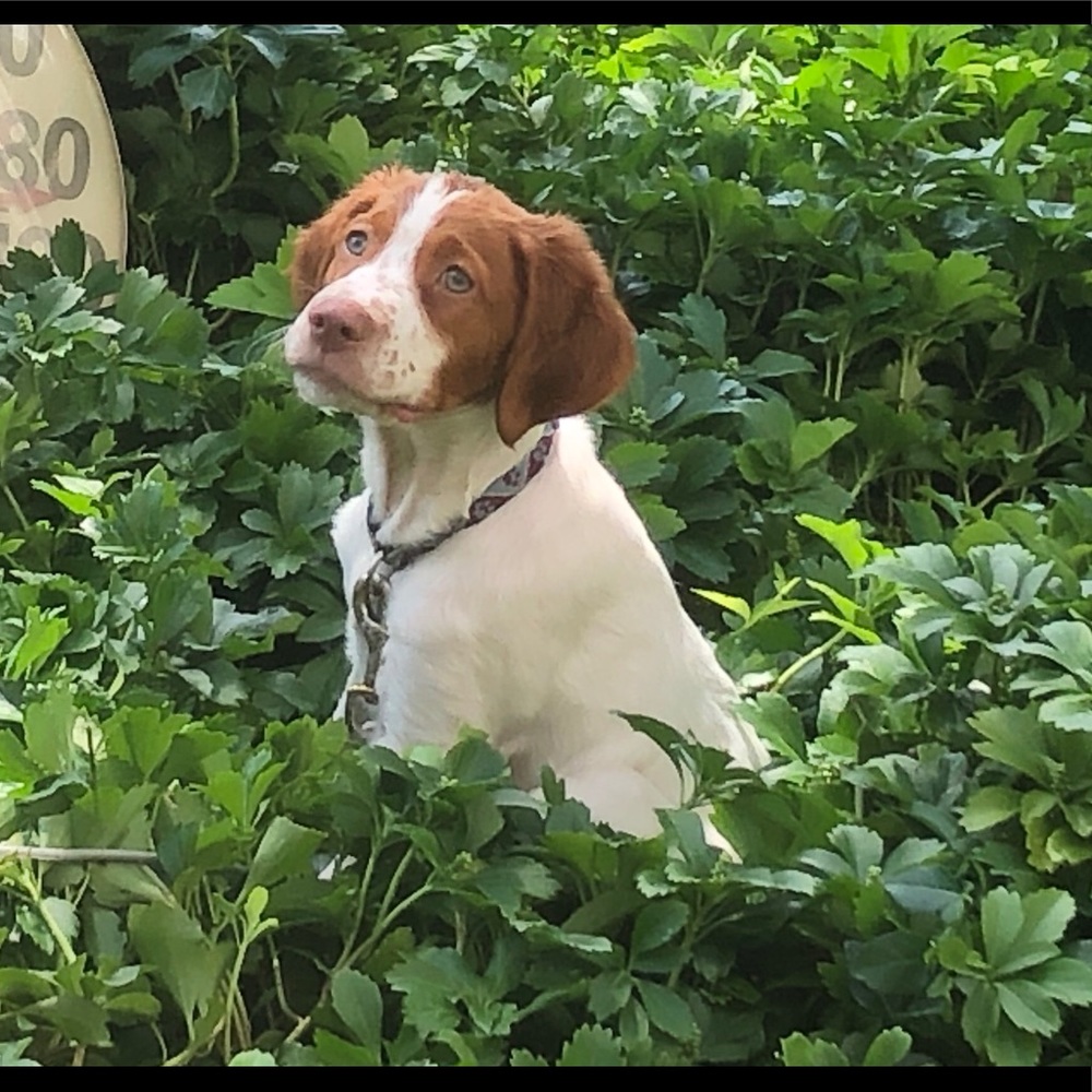 Meet your Posher, Lu